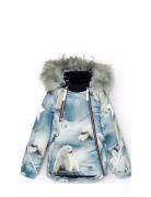 Hopla Fur Molo Blue