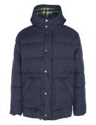 Barbour Brampton Puffe Barbour Navy