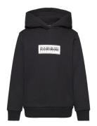 Chamois Hoodie Napapijri Black