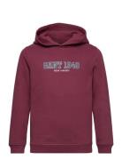 Gant 1949 Hoodie GANT Burgundy