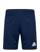 Squadra 21 Short Adidas Performance Navy