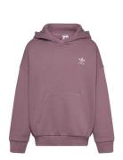 Hoodie Adidas Originals Purple