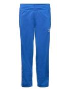 Firebird Pants Adidas Originals Blue