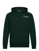 Borg Essential 1 Hoodie Björn Borg Green