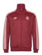 Fc Bayern Muenchen Beckenbauer Track Top Adidas Performance Red