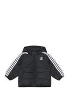 Padded Jacket Adidas Originals Black