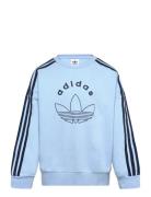 Crew Adidas Originals Blue