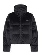 Velvet Down Jkt Adidas Originals Black