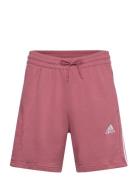 Essentials French Terry 3-Stripes Shorts Adidas Sportswear Red