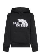 B Drew Peak P/O Hoodie The North Face Black