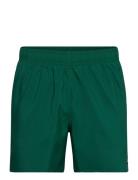 Solid Clx Swim Short Short Length Adidas Sportswear Green