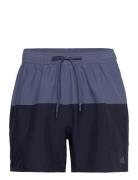 Colorblock Clx Swim Shorts Short Length Adidas Sportswear Blue