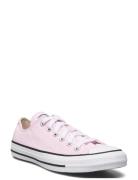 Chuck Taylor All Star Converse Pink