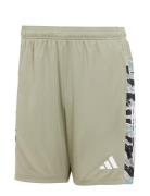 Camo 3S Short Adidas Performance Green