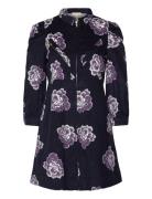 Baby Cord Collared Dress By Ti Mo Navy