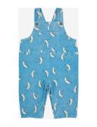 Baby Beneath The Moon Micro Corduroy Dungaree Bobo Choses Blue