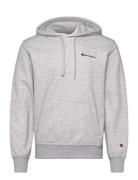 Hooded Sweatshirt Champion Grey