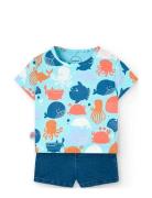 Set Knit Boboli Blue