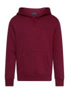 Fleece Hoodie Ralph Lauren Kids Burgundy