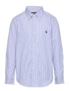 Striped Cotton Poplin Shirt Ralph Lauren Kids Blue