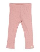 Legging Modal Dot Petit Piao Pink