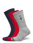 Polo Bear Roll-Top 3-Sock Gift Set Polo Ralph Lauren Patterned