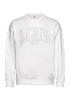 Relaxd Graphic Crew Tonal Athl Levi's® White