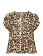 Kcami Stanley Printed Kaffe Curve Beige