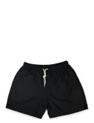 Solid Swim Shorts Portia 1924 Black