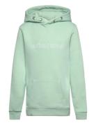 Borg Essential 3 Hoodie Björn Borg Green