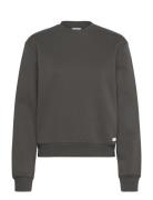 Centre Sweatshirt Björn Borg Grey