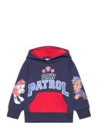 Sweats Paw Patrol Navy