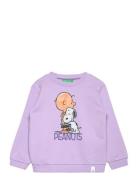 Sweater L/S United Colors Of Benetton Purple