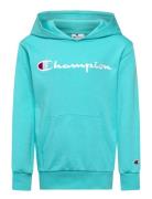 Hooded Sweatshirt Champion Blue