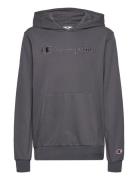 Hooded Sweatshirt Champion Grey