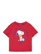 T-Shirt United Colors Of Benetton Red