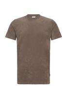 Ss Tee Terry Lindbergh Brown