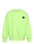 Tnd Neo TUMBLE 'N DRY Green