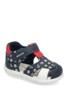 B Sandal Zapito Boy GEOX Navy