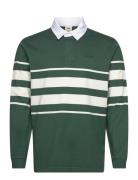 Union Rugby Carter Stripe Bist Levi's® Green