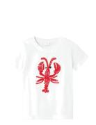 Nmmfritz Nreg Ss Top Name It White