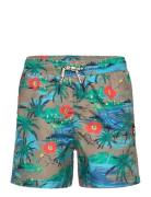 Tnd Calvi TUMBLE 'N DRY Blue