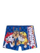Swimsuit Paw Patrol Blue