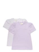T-Shirt Ss 2-Pack Creamie Purple