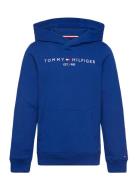 U Corp Logo Ess Hoodie Tommy Hilfiger Blue