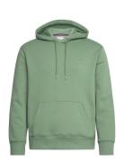 Reg Shield Hoodie GANT Green