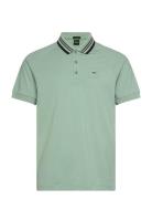 Paddy Rib BOSS Green