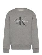 Ck Monogram Terry Cn Calvin Klein Grey