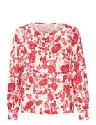 Frhita Bl 1 Fransa Red