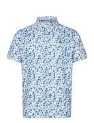 Coconut Caddy Polo Original Penguin Golf Blue
